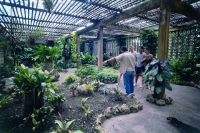 Botanická zahrada Cienfuegos