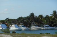 Cayo Coco-Guillermo + Moron